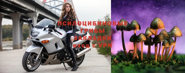 бошки Алексеевка