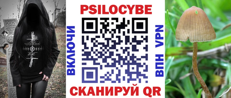 закладки  Талица  Псилоцибиновые грибы MAGIC MUSHROOMS 