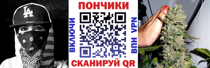 Шишки марихуана Amnesia как найти закладки Талица
